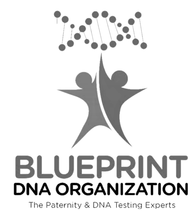 blueprint dna logo_loves designs